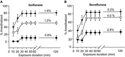 Janus Kinase Mediates Faster Recovery From Sevoflurane Anesthesia Than Isoflurane Anesthesia in the Migratory Locusts